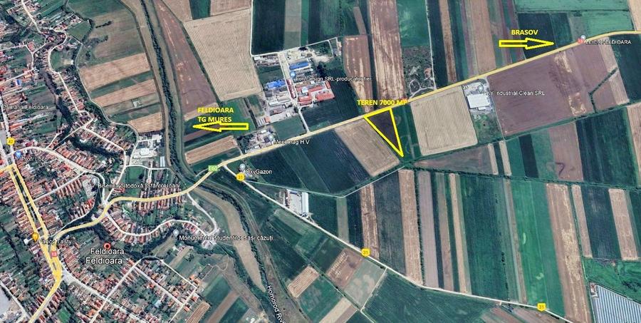 Teren Construcții extravilan de 7000 mp, în Feldioara