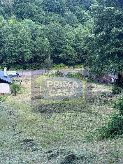 Teren Construcții intravilan de 6200 mp, în Tăuții-Măgherăuș