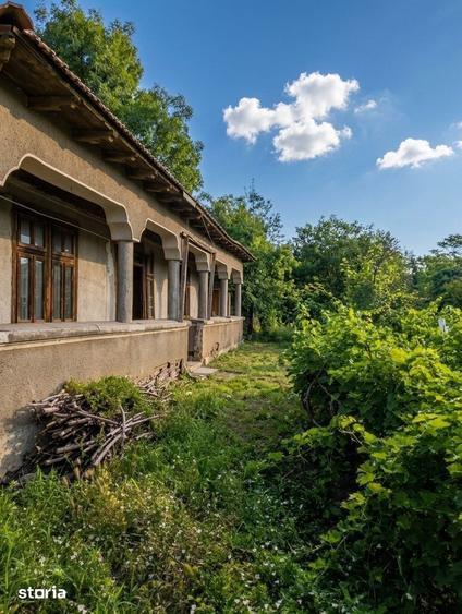 Casă cu 3 camere cu Teren 1900 Mp în Comana