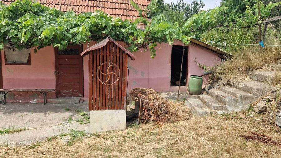 Casă cu 3 camere în Conop
