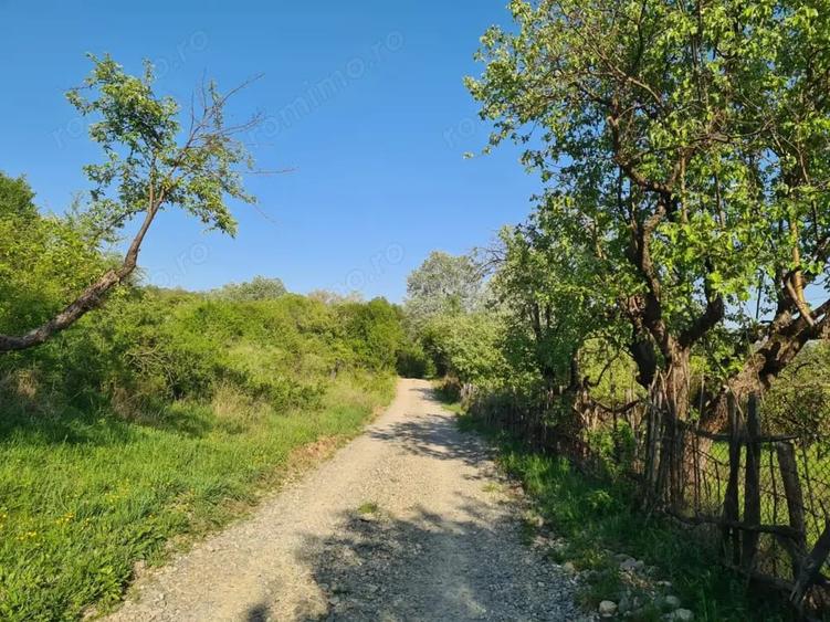 Teren de 950 mp, în Păușești