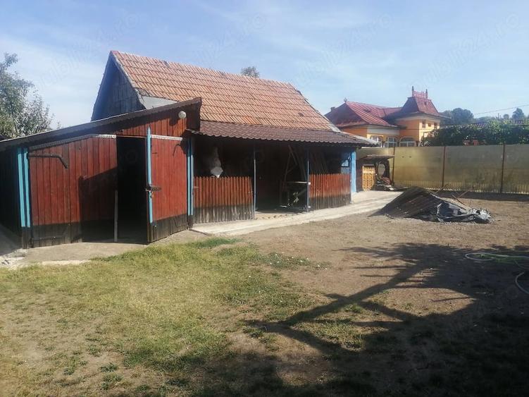 Casă cu 3 camere cu Teren 5000 Mp în Dienci