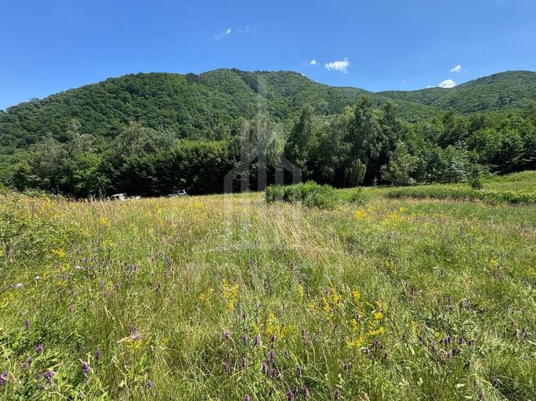 Teren Construcții intravilan de 4600 mp, în Cisnădioara