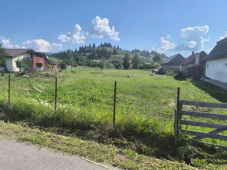 Teren de 2600 mp, în Moglănești