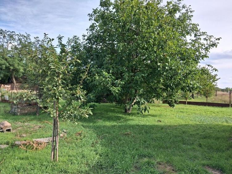 Casă cu 2 camere în Iratoșu
