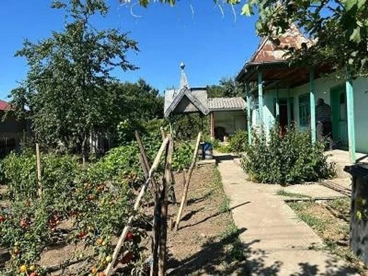 Casă cu 3 camere cu Teren 2300 Mp în Nifon