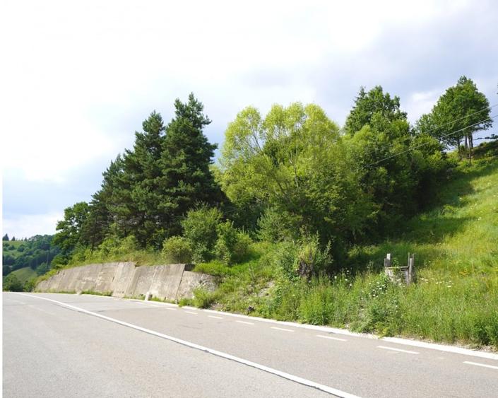Teren agricol intravilan de 1723 mp, în Hangu