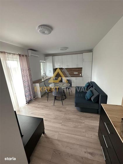 Apartament cu 2 camere în Valea Borcutului