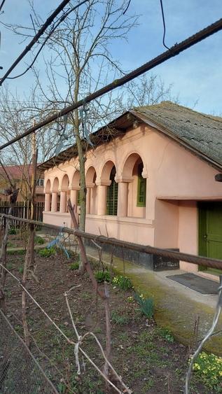 Casă cu 3 camere în Necșești