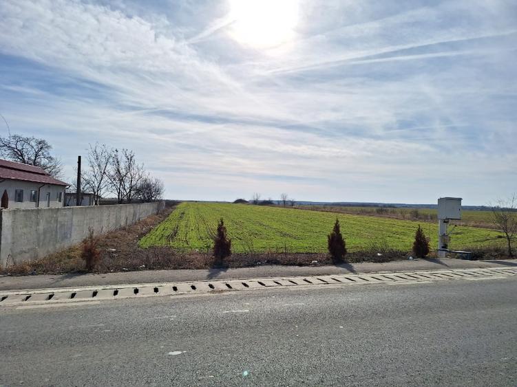 Teren Construcții intravilan de 9788 mp, în Crevedia