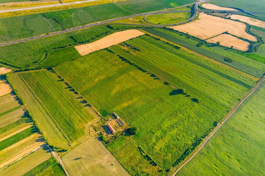 Teren agricol extravilan de 500000 mp, în Bujac