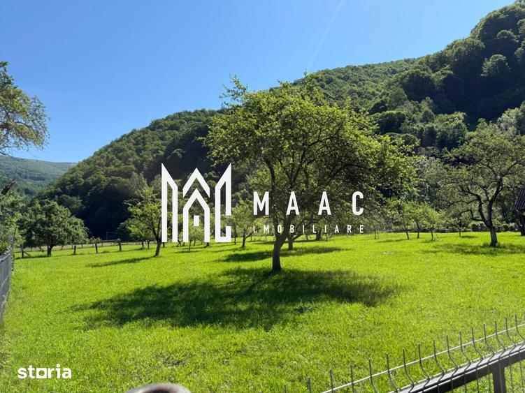 Teren de 3050 mp, în Câineni