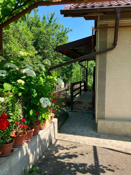 Casa  cu parau la limita proprietatii- zona submontana - 6