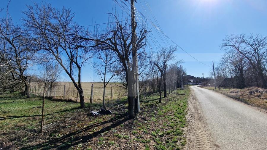 Teren Construcții intravilan de 30724 mp, în Jucu de Sus