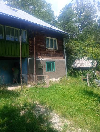 Vand casa comuna Sohodol Alba - 5