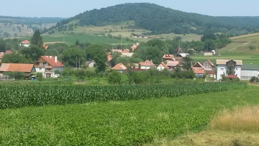 Teren extravilan de 4481 mp, în Vâlcele