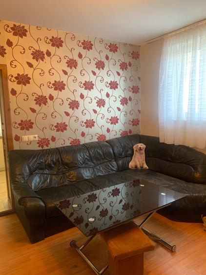 Apartament cu 2 camere nedecomandat în Centrul Civic