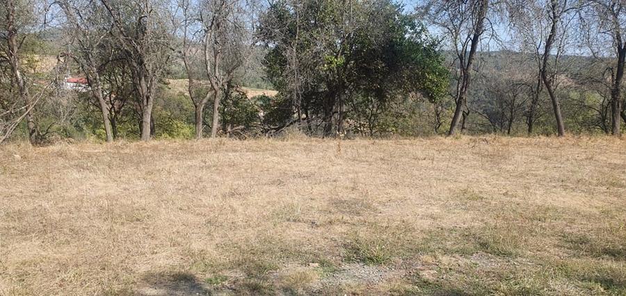 Teren de 4780 mp, în Fornădia