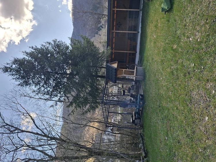 Casă cu 3 camere cu Teren 768 Mp în Central