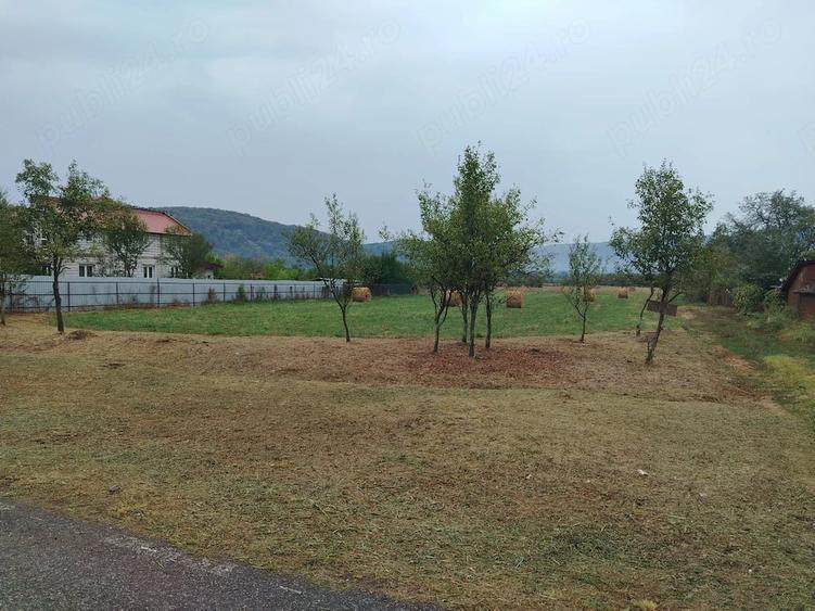 Teren de 3080 mp, în Căprioara