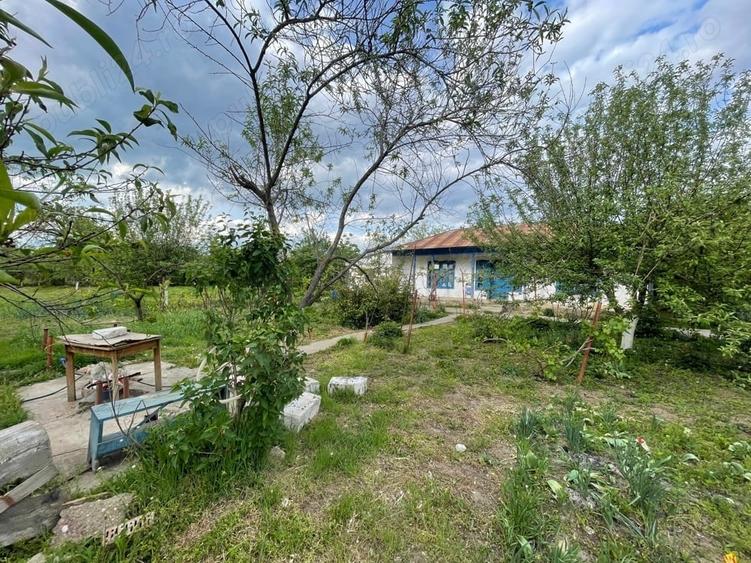 Casă cu 3 camere cu Teren 2000 Mp în Stănești