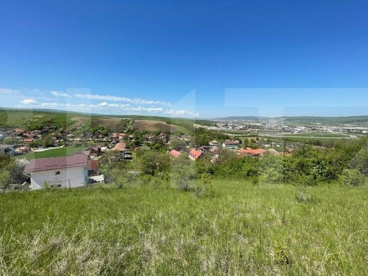 Teren Construcții intravilan de 5800 mp, în Dezmir