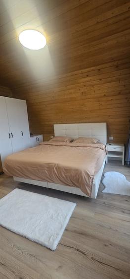 Casă cu 2 camere în Moisei