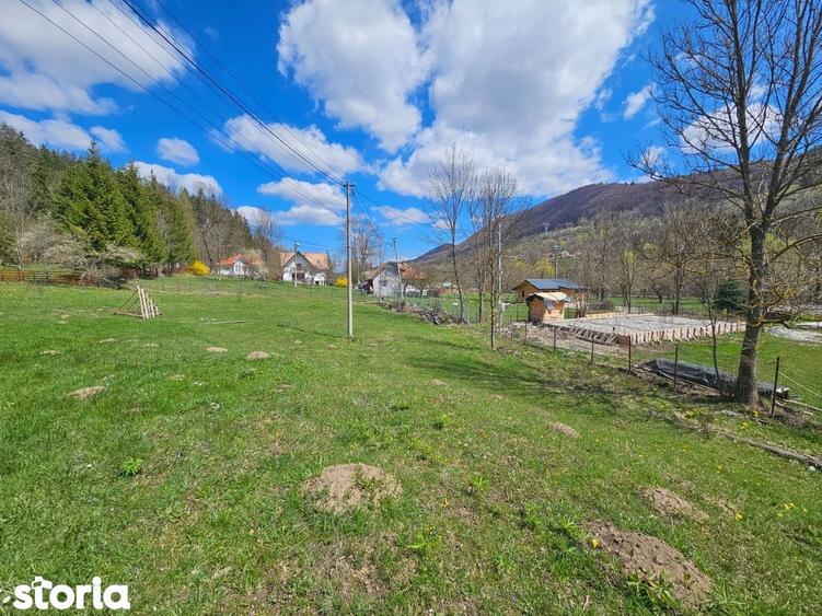 Oportunitate de Investi?ie: Teren Intravilan 2000 mp in Valea Doftanei - 8