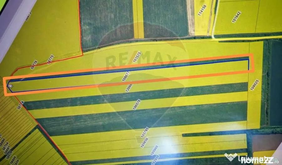 Teren extravilan 33.750 mp I Corbeanca - 1