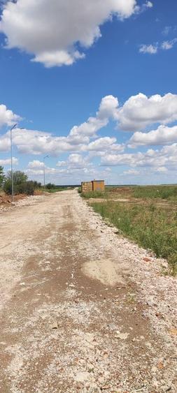 Teren Construcții intravilan de 5000 mp, în Tânganu