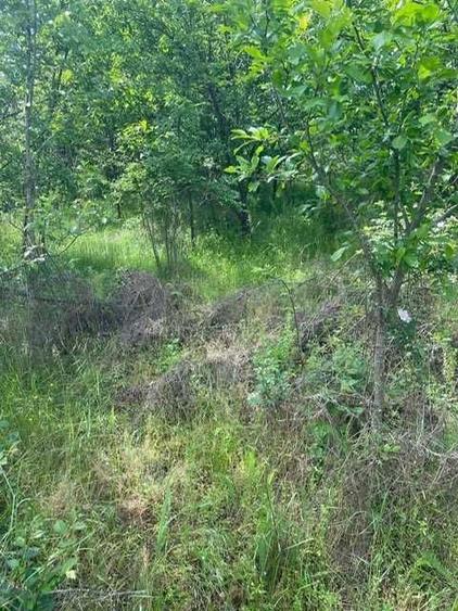 4 terenuri de vanzare in Lucieni, Dambovita, la 90 de kilometri de Bucuresti - 3
