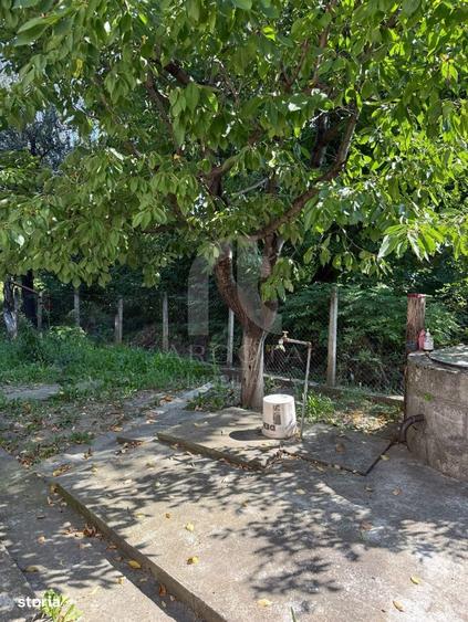Casă cu 3 camere în Viperești