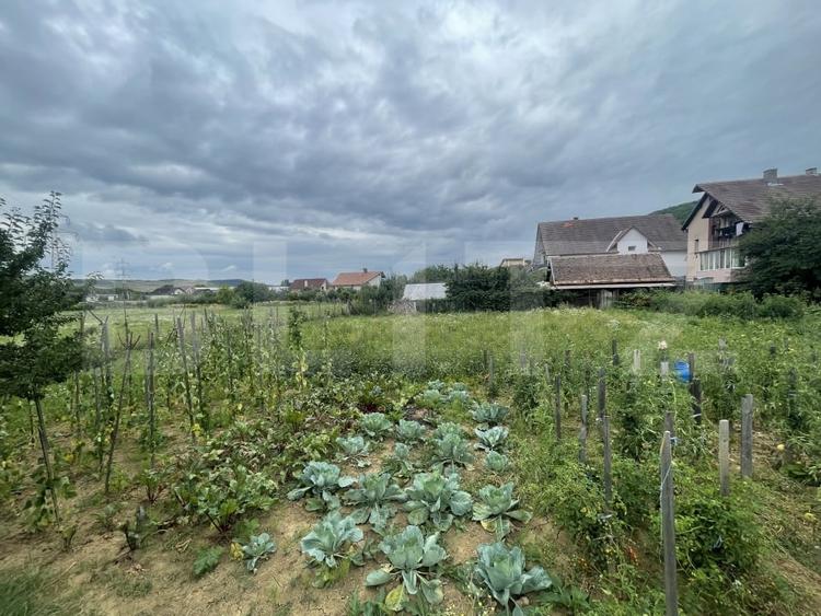 Teren Construcții intravilan de 1000 mp, în Viișoara