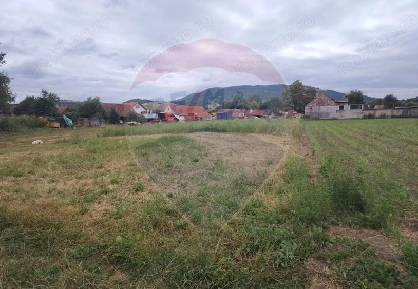 Teren de 1620 mp, în Comana