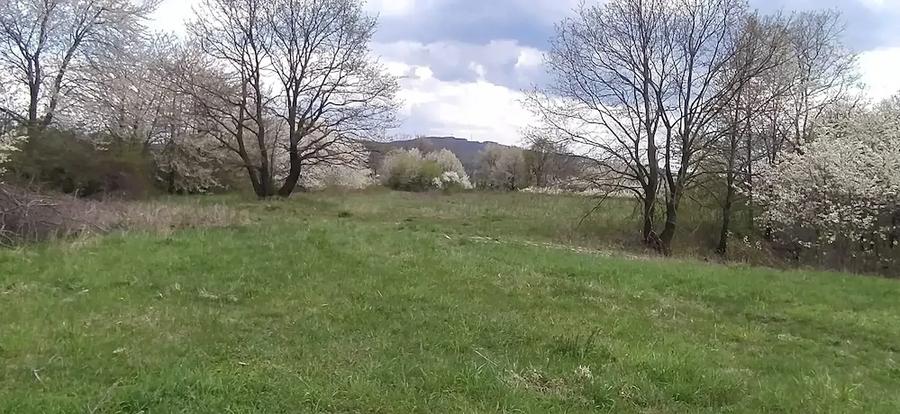 Teren de 5000 mp, în Central