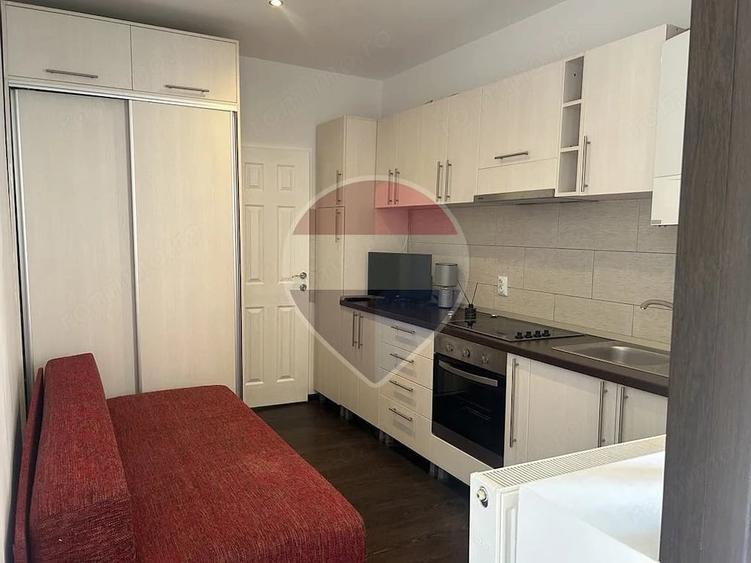 Apartament cu 1 camere de inchiriat in zona Centrul Istoric - 5