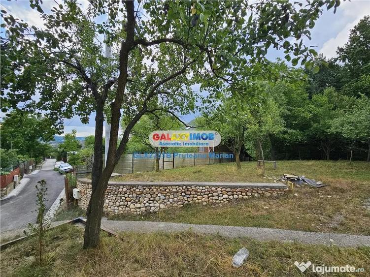 Teren de 2700 mp, în Curtea de Argeș
