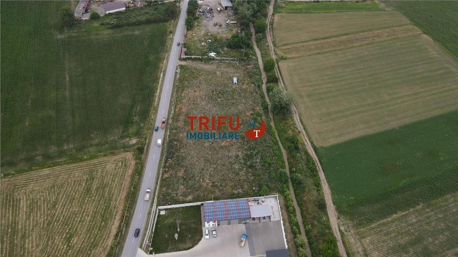 Teren Construcții intravilan de 9087 mp, în Ighiu