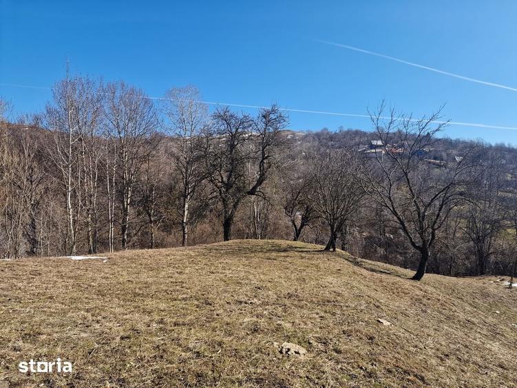Teren de 4100 mp, în Secăria