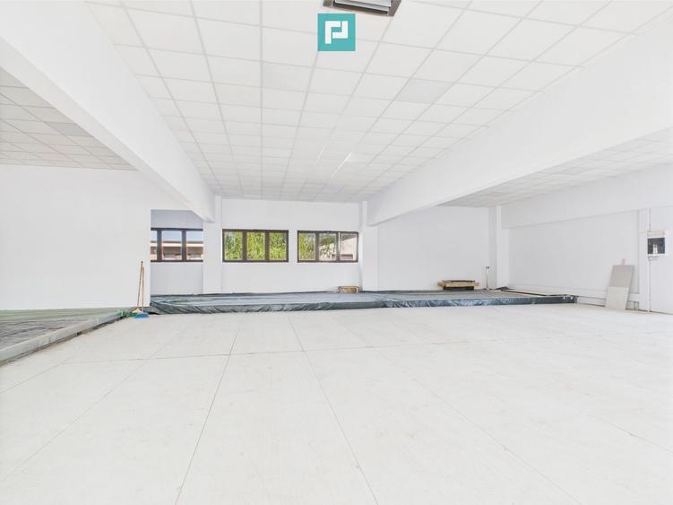 Spații Comerciale între 70 și 350 mp în Dumbrăvița - 14