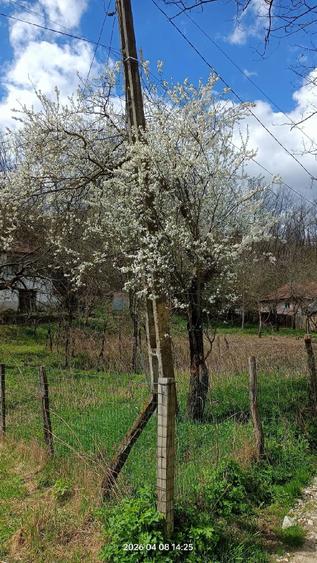 Teren de 4660 mp, în Bozioru