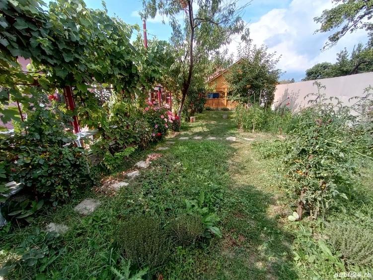 Casă cu Teren 1060 Mp în Beriu