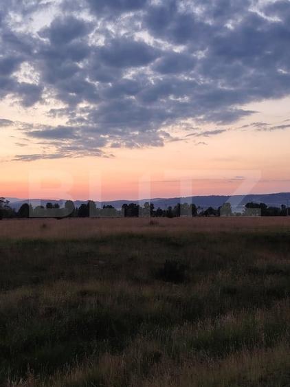 Teren agricol extravilan de 7000 mp, în Caragiale