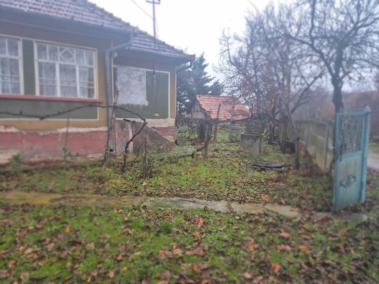 Casa de vanzare in localitatea Pagaia, Bihor - 4