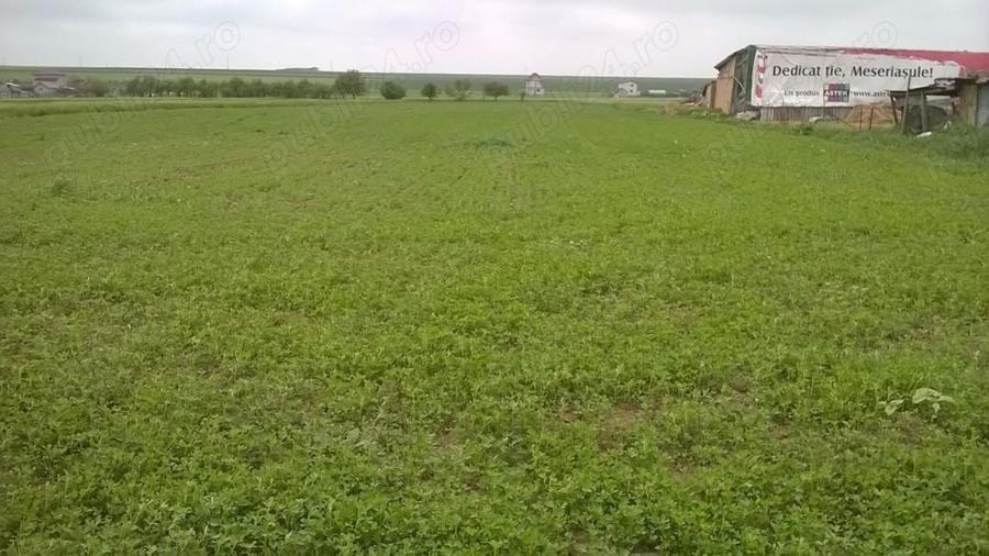 Teren de 7500 mp, în Central