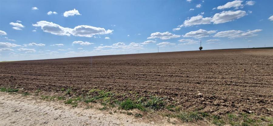 Teren intravilan de 13000 mp, în Periferie