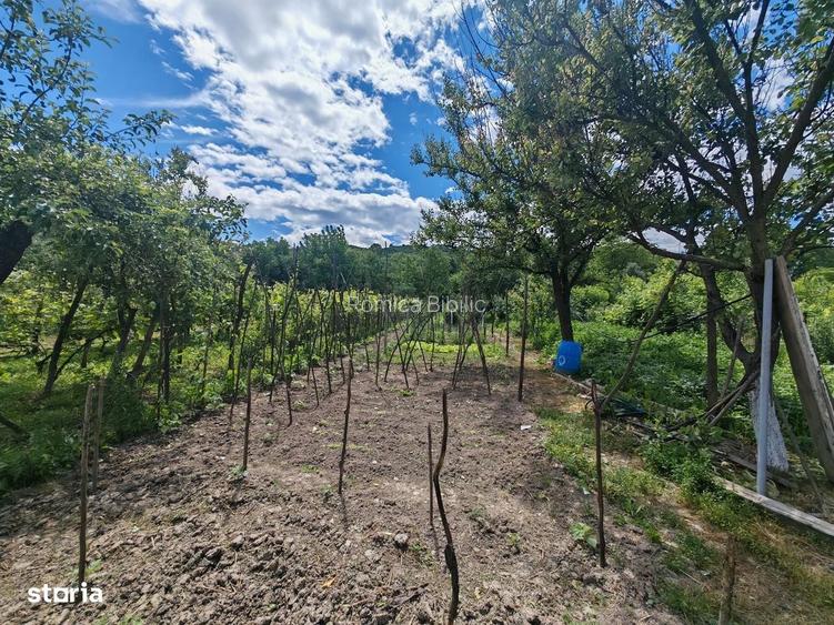 Oportunitate Rara: 3 Case in Aceeasi Curte| 66.000 euro
