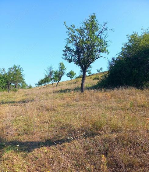 Teren de 82000 mp, în Roșiile