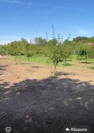 Teren de 2000 mp, în Central