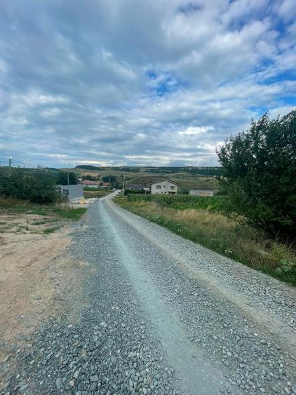 Teren Construcții intravilan de 5800 mp, în Baciu